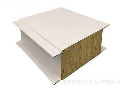 凈化板有哪些優(yōu)點(diǎn)及應(yīng)用分析